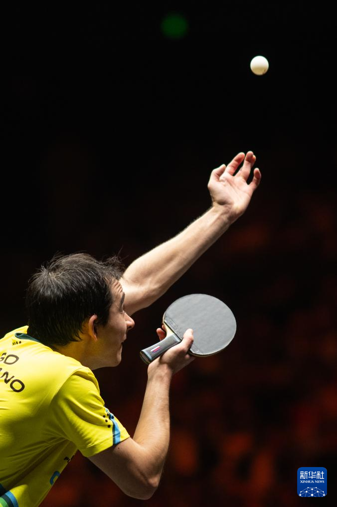 球馆里的呼 球馆里的呼